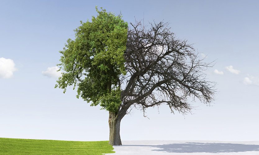 Change Management Seminar Bergisch Gladbach