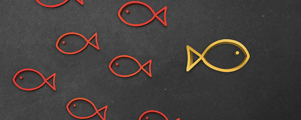 Change Management Seminar in Bergisch Gladbach